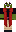skin of a player