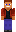 skin of a player