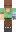 skin of a player