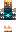 skin of a player