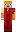 skin of a player