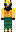 skin of a player