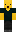 skin of a player