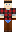 skin of a player