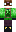 skin of a player