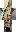 skin of a player