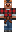 skin of a player