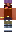 skin of a player