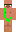 skin of a player