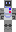 skin of a player