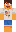 skin of a player