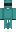 skin of a player