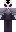 skin of a player
