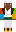 skin of a player