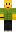 skin of a player