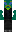 skin of a player