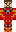 skin of a player