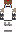 skin of a player