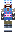 skin of a player