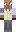 skin of a player