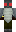 skin of a player