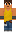 skin of a player