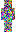 skin of a player