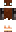 skin of a player