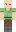 skin of a player
