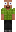 skin of a player