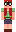 skin of a player