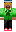 skin of a player