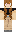 skin of a player