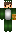 skin of a player