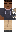 skin of a player