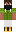 skin of a player