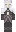 skin of a player