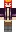 skin of a player