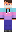 skin of a player