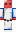 skin of a player
