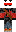 skin of a player