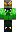 skin of a player