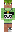 skin of a player