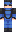 skin of a player