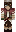 skin of a player