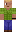 skin of a player