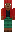 skin of a player
