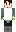 skin of a player
