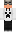 skin of a player