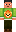 skin of a player